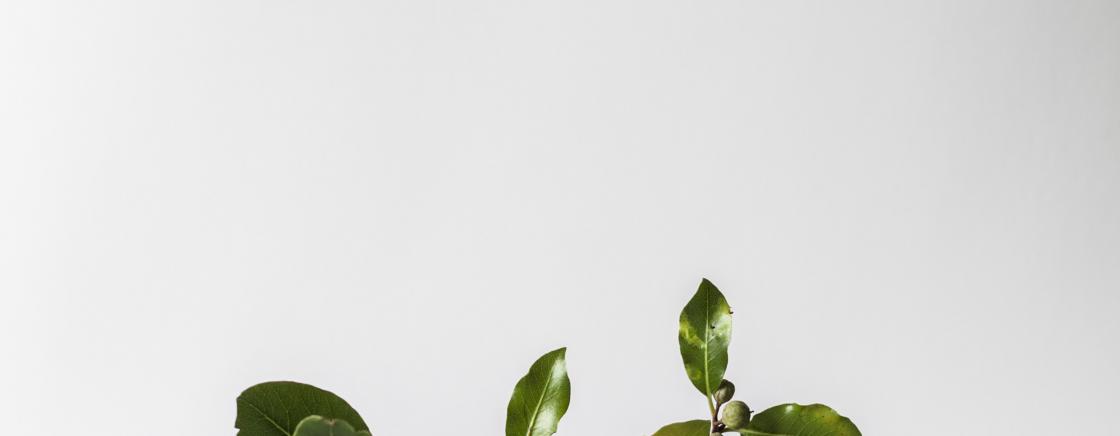 Littérature, le prix Goncourt