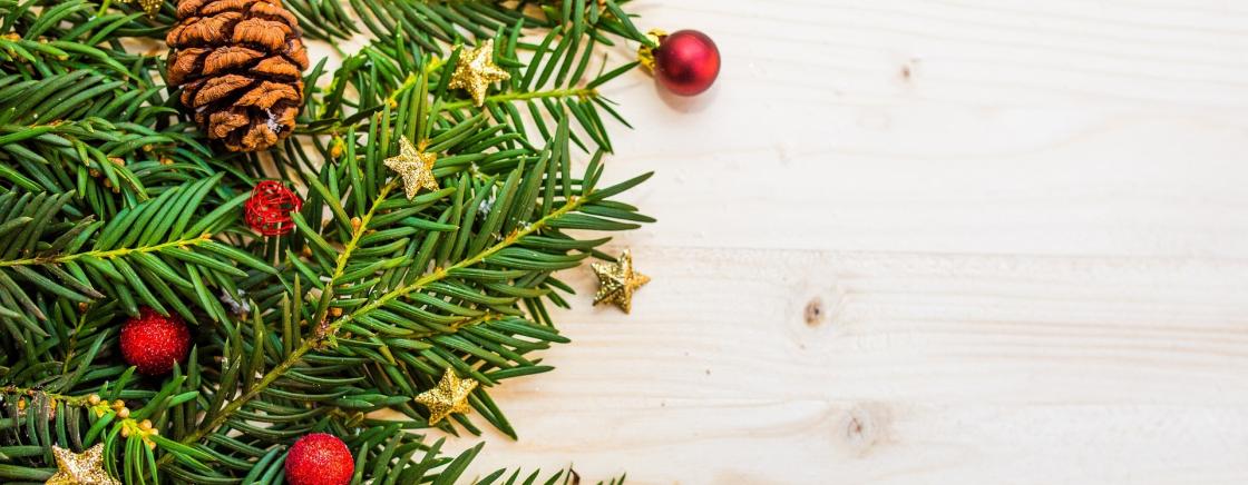 L’arbre de Noël <br>